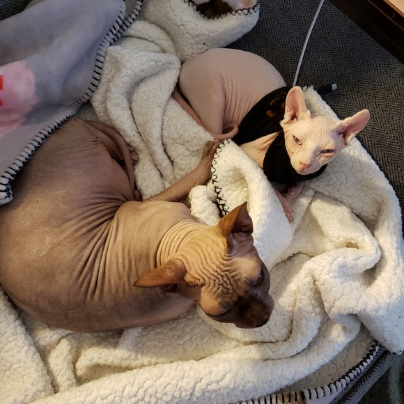 are you having your best day possible? - Picture 15 of 15